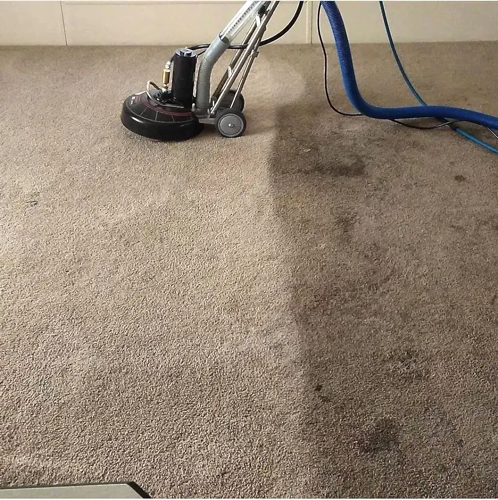 Yerinde Halı Yıkama Temizleme